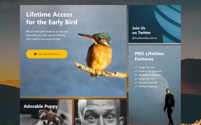 Sunshine Social: Early Bird Lifetime Access